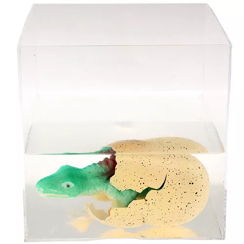 Rex London Groeiei Prehistoric Land - Assorti 2 Rex London Groeiei Prehistoric Land - Assorti - Afbeelding 2