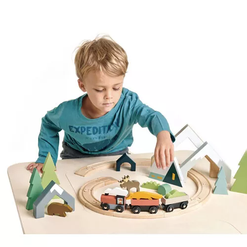 Tender Leaf Toys Landschapsvormen Bergpas - 5st 5 Tender Leaf Toys Landschapsvormen Bergpas - 5st - Afbeelding 5