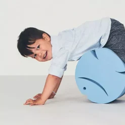 Bobles Tuimelmeubel Fish - Desert 8 Bobles Tuimelmeubel Fish - Desert -speelgarages, auto's & voertuigen Winkel bobles fish desert 2