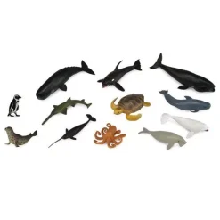Collecta Set B Mini Zeedieren 7-3 Cm (12st)