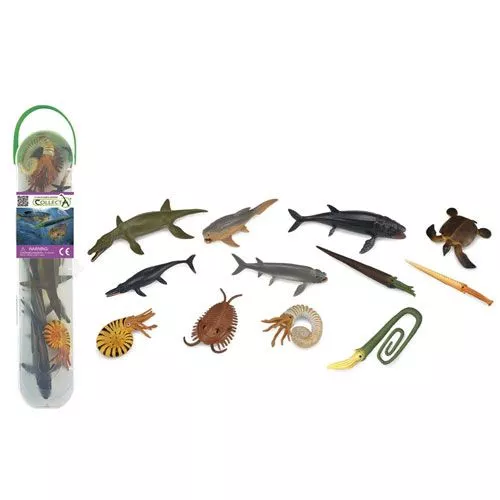 Collecta Mini Prehistorische Zeedieren 7-11 Cm (12st) 2 Collecta Mini Prehistorische Zeedieren 7-11 Cm (12st) - Afbeelding 2