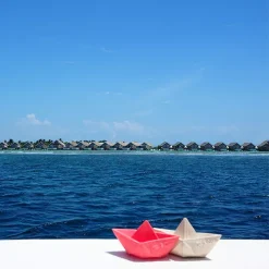 Oli & Carol Bijt- & Badspeelgoed Bootje - Roze 17 Oli & Carol Bijt- & Badspeelgoed Bootje - Roze -speelgarages, auto's & voertuigen Winkel oli carol bijt badspeelgoed bootje roze 12