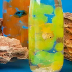 Petit Boum Sensorische Fles Sound - Pufferfish 7 Petit Boum Sensorische Fles Sound - Pufferfish -speelgarages, auto's & voertuigen Winkel petit boum sensorische fles sound pufferfish 4