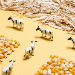 Petit Boum Sensorische Fles Spy - Farm -speelgarages, auto's & voertuigen Winkel petit boum sensorische fles spy farm 3