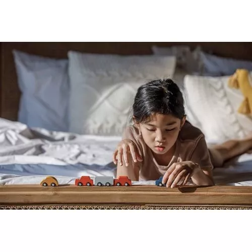 Plan Toys Mini Auto's 4 Plan Toys Mini Auto's - Afbeelding 4