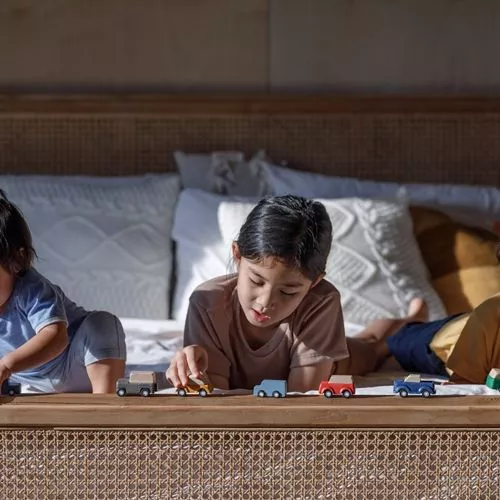 Plan Toys Voertuigen Planwood 2 Plan Toys Voertuigen Planwood - Afbeelding 2