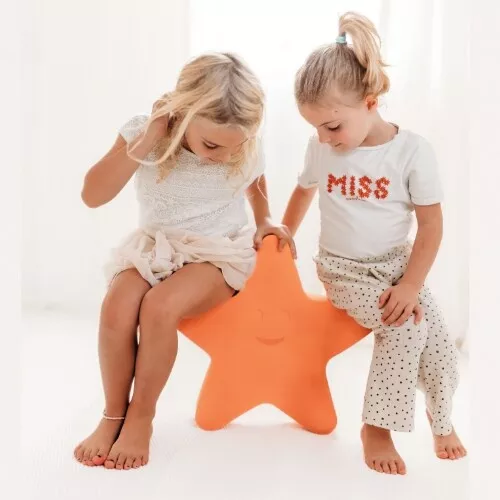 Moes Play Balanceerbord Zeester 7 Moes Play Balanceerbord Zeester - Afbeelding 7